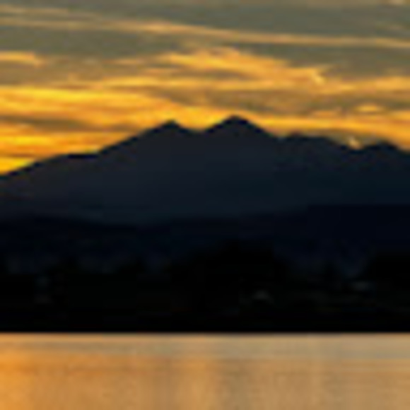 Meet your Posher, Phyllis - Picture 1 of 1